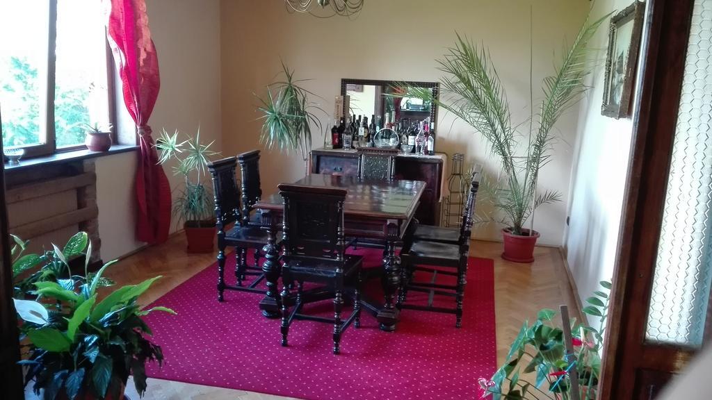 Pension Casa Contelui Rîşnov Esterno foto